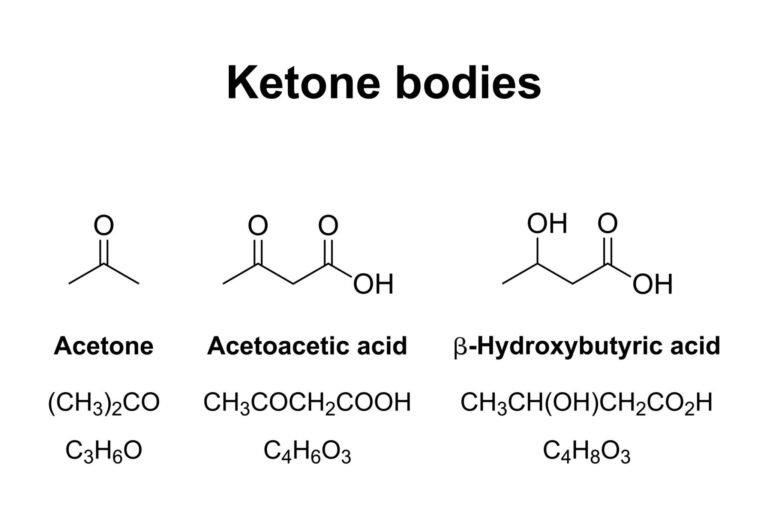 Ketone bodies